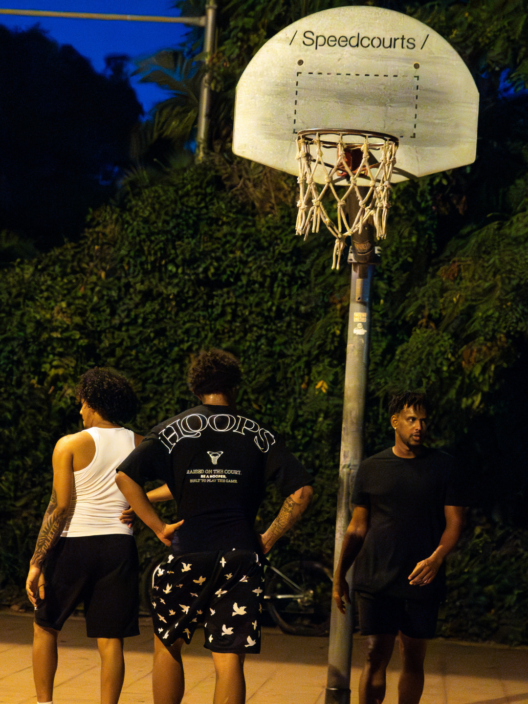 Basketball Shorts - Birds
