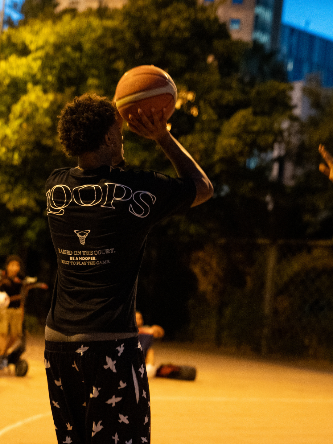 Basketball Shorts - Birds