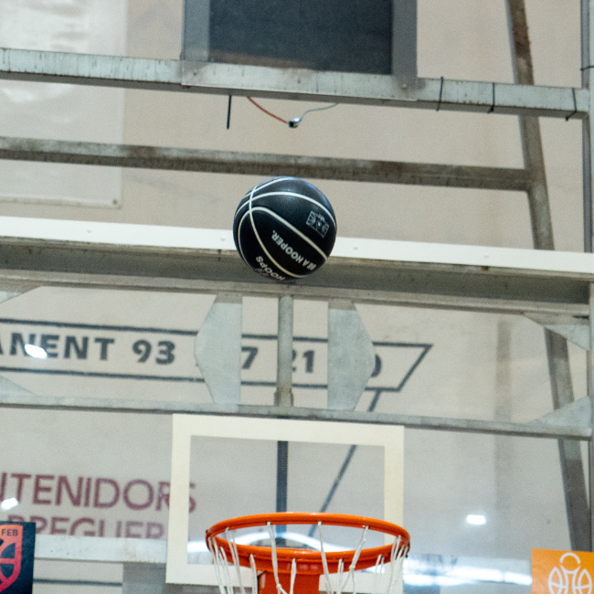 Balón de Baloncesto